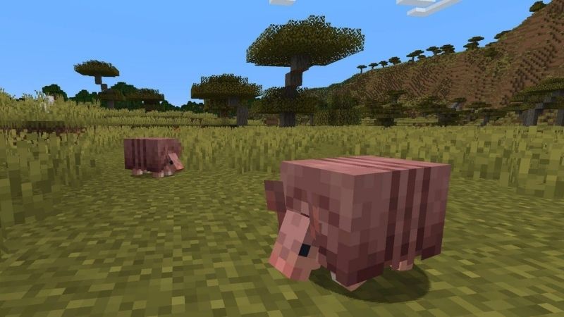 Armadillo Trong Minecraft 1.21.0