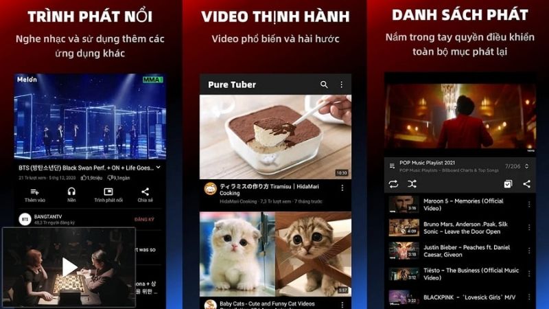 Các tính năng cao cấp của Pure Tuber Mod APK như chặn quảng cáo và phát video dưới nền.